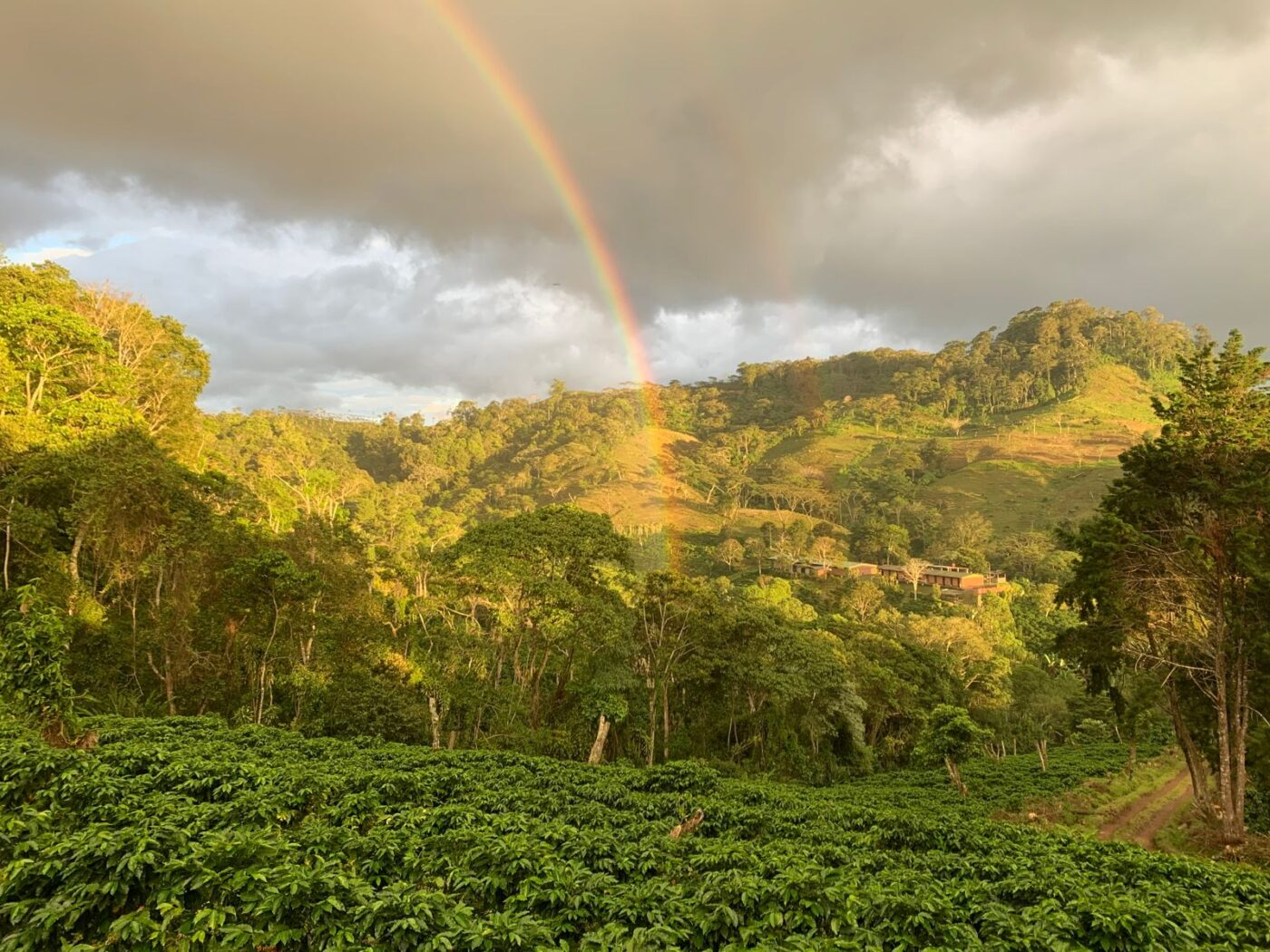 Brazil mantiqueira