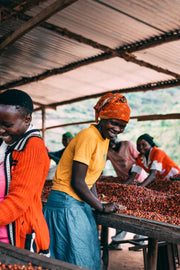 Rwanda Kilimbi - Single-origin