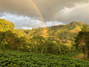Brazil mantiqueira